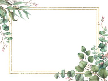 Okaliptüs bitkisi ve altın çerçeveli çingene çiçeği dalı. Suluboya çiçekli dikdörtgen şablon. Yuvarlak yaprakları ve pembe tomurcukları olan yeşil dallar. El çizimi resimleme arkaplandan izole 