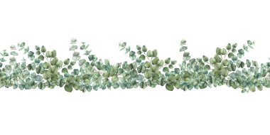 Okaliptüs yeşili yapraklar, dikişsiz bir sınır. Yeşillik suluboya desenli gümüşi ağaç dalları kilise için çizilmiş botanik illüstrasyon, arka plandan izole edilmiş vaftiz kumaşı tasarımı 