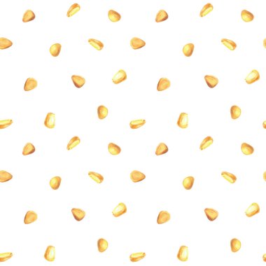 Mısır taneleri, tahıllar ya da mısır koçanı tohumları, dikişsiz altın mısır tarlaları. Resimli suluboya resim arkaplandan izole edildi. Sonbahar sarı hasat. Konserve sebze, yiyecek ambalajı, kumaş.