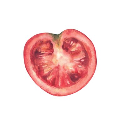 Dilimlenmiş kırmızı domates, yarım sebze. Salatalar, pizza, hasat temaları, ambalajlar ve mutfak dekorasyonu için mükemmel olan taze vejetaryen yemeklerinin el boyası çizimi. Arka plandan izole edilmiş