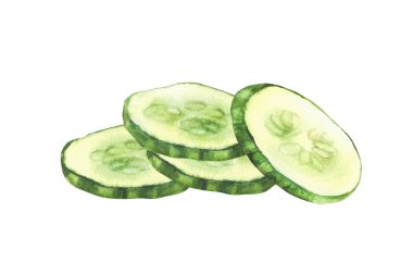 Dilimlenmiş suluboya salatalık dilimleri. Taze sebze dilimli salatalık dilimleri ve tohumlar. Gerçekçi el, diyet salata menüsü için sağlıklı gıda çizimi, eko kozmetik etiketi. Arka plandan izole edilmiş