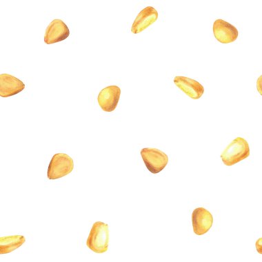Mısır sarısı çekirdekler, dikişsiz desen. Tahıl ya da mısır koçanı tohumları altın mısır suluboya polka desenli. El çizimi illüstrasyon arka planda izole. Hasat hasadı, konserve sebze yiyecek ambalajı.
