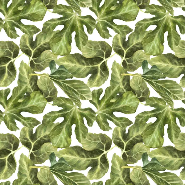 İncir ağacı suluboya desensiz bırakır. Gerçekçi bitki, kumaş, duvar kağıdı, ambalaj ve tekstil ürünleri için botanik tasarımı. İzole edilmiş beyaz arkaplanda elle çizilmiş klişe çizimi 