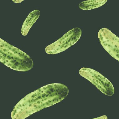 Suluboya salatalık dikişsiz desen. Taze sebze elle çizilmiş dikenli turşu hasadı. Vejetaryen gıda kumaşı, izole edilmiş koyu yeşil arka planda mutfak duvar kağıdı tasarımı için tırman