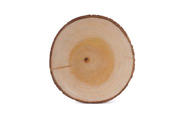 Beyaz arka plan üzerinde üstten görünüm izole kesilmiş ağaç gövdesi