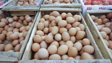 Pazarda taze tavuk yumurtası.
