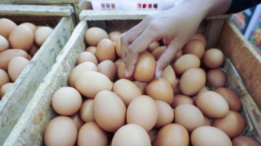 Yumurtalar yumurta tepsisinde.