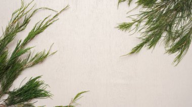 Beyaz ahşap zemin üzerinde köknar ağacı dalları