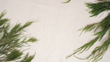 açık gri arka planda çam iğneleri olan yeşil noel ağacı dalı.