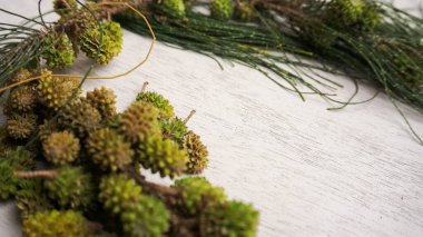 Beyaz ahşap arka planda çam kozalağı