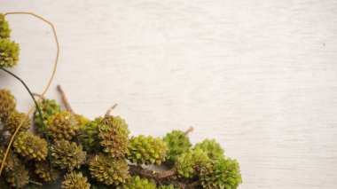 Çam kozalakları ve kozalaklar beyaz ahşap masada.