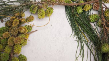 Ahşap zeminde köknar dalları ve konileri