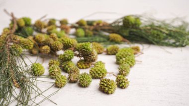 Tahta bir masada taze dereotu. Kapat - kapat.