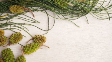 Beyaz ahşap masada çam kozalakları