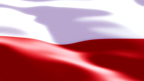 Uma Bandeira Vermelha Branca Polônia Agitando Orgulhosamente Vento Simbolizando Unidade — Vídeo de Stock
