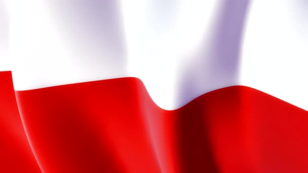 폴란드의 붉은색과 깃발이 바람에 자랑스럽게 흔들며 국가의 통일과 유산을 상징합니다 — 비디오
