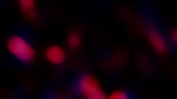Красные Фиолетовые Цвета Сливаются Скручиваются Завораживающем Вихре Вызывая Чувство Таинственности — стоковое видео
