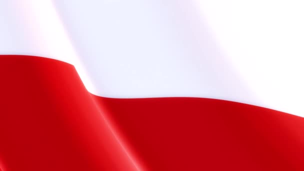 Lengyelország Vörös Fehér Zászlója Büszkén Lobogott Szélben Jelképezve Nemzet Egységét — Stock videók