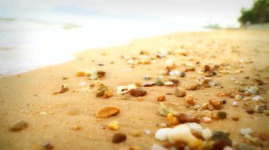 Kumsalda taşlar ve deniz kabukları serpilmişti. Deniz dalgaları yavaşça arka planda yuvarlanarak sakin bir sahil sahnesi oluşturuyordu..