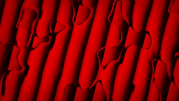 Czarująca Animacja Czerwonymi Bąbelkami Światła Żywymi Paskami Ustawiona Czarnym Tle — Wideo stockowe