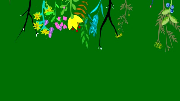 Ett Uppfriskande Grönt Tomt Utrymme Omgivet Livfulla Blommor Vilket Skapar — Stockvideo