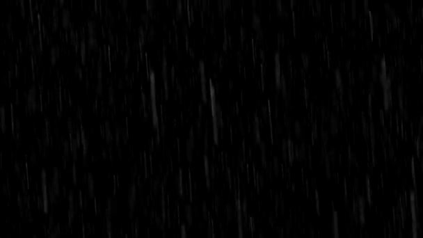 Regen Valt Een Zwarte Achtergrond — Stockvideo