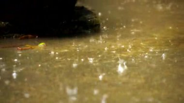 Şiddetli yağmur yollara vuruyor, büyüleyici bir su manzarası yaratıyor, koşuyor ve sıçrıyor, çevreyi ıslatıyor..