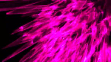 Büyüleyici bir 3 boyutlu animasyon. Pembe ışık kabarcıkları ve parlak çizgiler var. Büyüleyici bir siyah arka planda geçiyor..