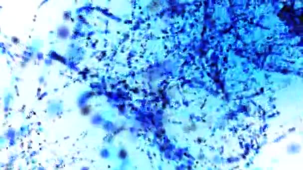 Синій Пил Боке Кола Вигляді Спіралей Світлому Фоні — стокове відео