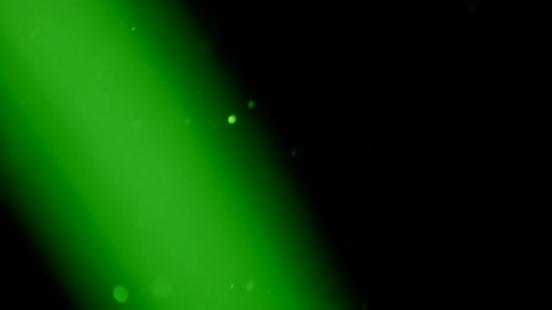 Barra Luz Verde Polvo Verde Volador Círculos Bokeh — Vídeos de Stock