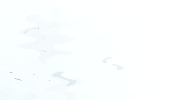 Acuarela Blanca Charco Agua Ondulado Composición Abstracta — Vídeos de Stock