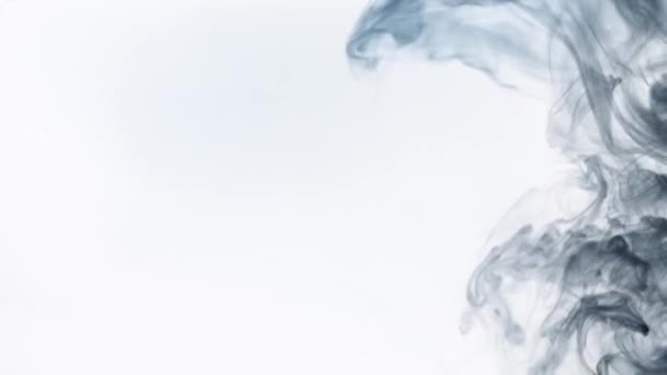 Szary Dym Akwarela Abstrakcyjnie Białym Tle — Wideo stockowe