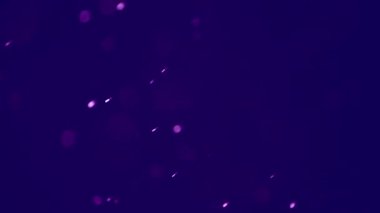 Toz, daireler, bokeh efekti mor bir arka planda rastgele farklı yönlere hareket ediyor, soyut.