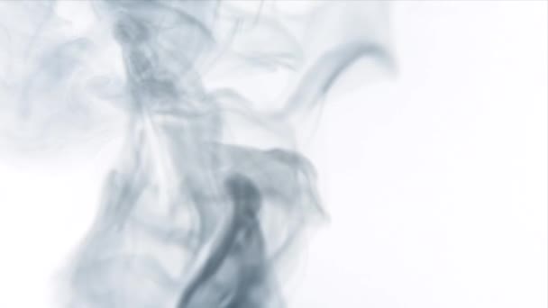 Grauer Rauch Von Oben Aquarell Abstrakt Auf Weißem Hintergrund — Stockvideo