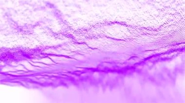 Mor toz, bokeh etkisi parlak bir arkaplan üzerinde ağ oluşturur.