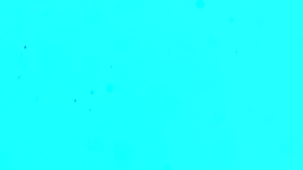 Пил Кола Ефект Боке Випадково Рухаються Різних Напрямках Світло Блакитному — стокове відео