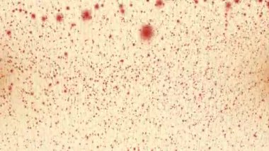 Döngü etkisi, düşen ve yükselen kırmızı daireler, toz, parlak arkaplan üzerinde bokeh etkisi, soyut.