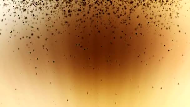 抽象の茶色の背景の粒子に落ちる — ストック動画