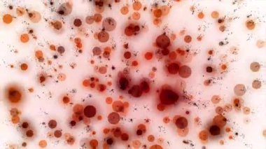 Yavaşça düşen kırmızı daireler, toz, parlak bir arka plan üzerinde parlak havai fişek etkisi, soyutlama .igajcym efektem fajerwerkw, soyutlama.