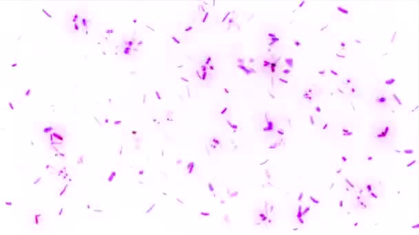 Rosa Blinkende Spritzer Staub Auf Weißem Abstrakten Hintergrund — Stockvideo