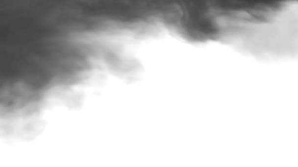 上からグレーの煙がすぐに現れ 抽象的に黒い背景に — ストック動画