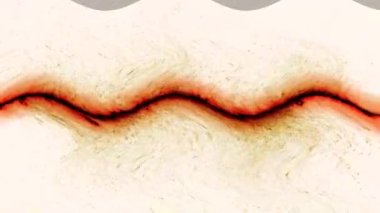 Dalgalı kırmızı çizgi ve üzerine düşen ışık parçacıkları, soyutlama, parlak arkaplan.