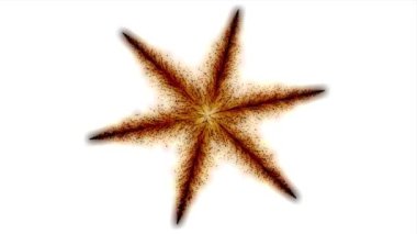 Beyaz arkaplanda ince yapılar ve dallar oluşturan altı taraflı renklere ateş etmek.