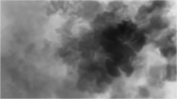 Acuarela Humo Gris Negro Que Aparece Rápidamente Abstractamente Sobre Fondo — Vídeos de Stock