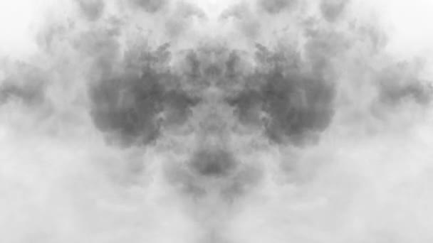 白い背景 ミラー効果に抽象的に上部に徐々に浮上する灰色の煙水彩 — ストック動画