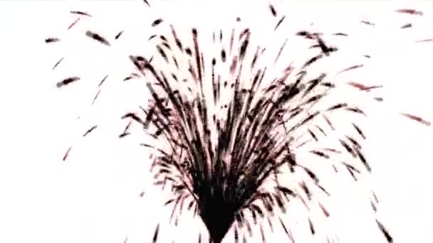 Черный Абстрактный Фонтан Водяных Искр Огни Белом Фоне — стоковое видео