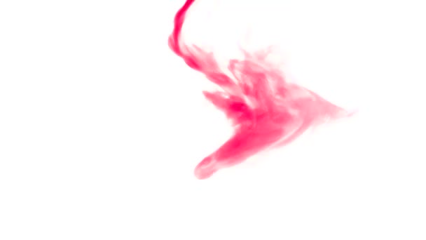 Snel Vliegende Rode Rook Aquarel Van Bovenaf Abstracte Een Witte — Stockvideo