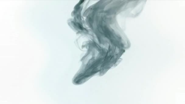 Aquarelle Fumée Grise Volant Rapidement Haut Abstraite Sur Fond Blanc — Video