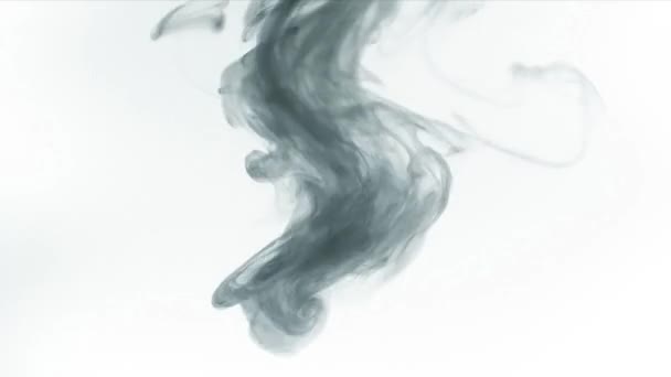Rasant Fliegendes Graues Rauch Aquarell Von Oben Abstrakt Auf Weißem — Stockvideo