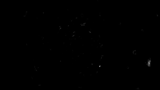 快速喷射的尘埃粒子 灯光形成了一个很深的涡旋 黑色抽象背景 — 图库视频影像